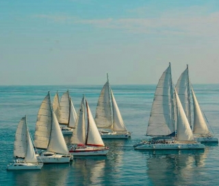 catamaranes en el caribe